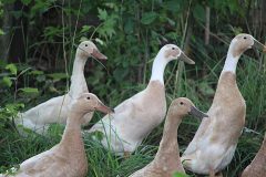IMG_1041-scaled