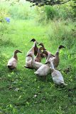IMG_1064-scaled