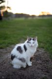 L1008810-scaled